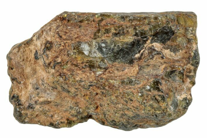 Diogenite Meteorite (g) - From Vesta Micro-Planet #281055